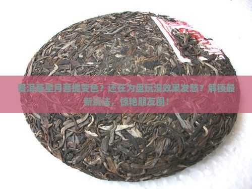 普洱茶星月菩提变色