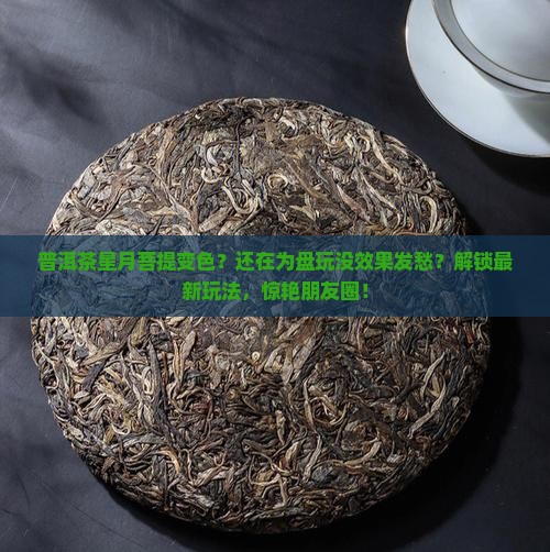 普洱茶星月菩提变色