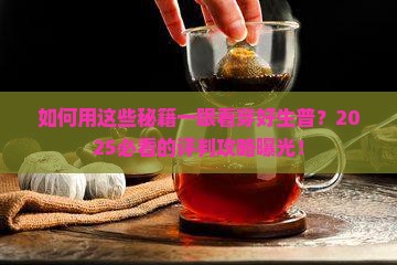 如何评判好的生普茶叶