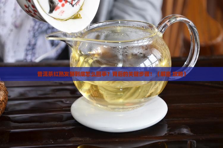 普洱茶红熟发酵是什么