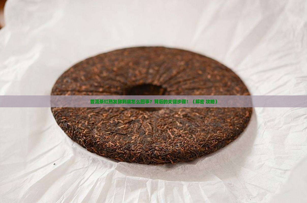 普洱茶红熟发酵是什么