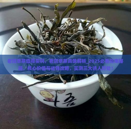 老班章茶值得买吗