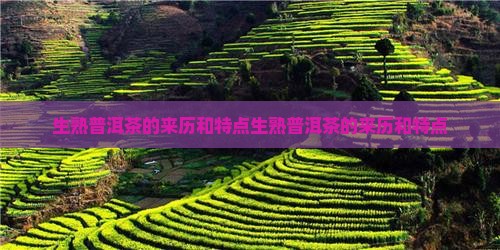 生熟普洱茶的来历和特点