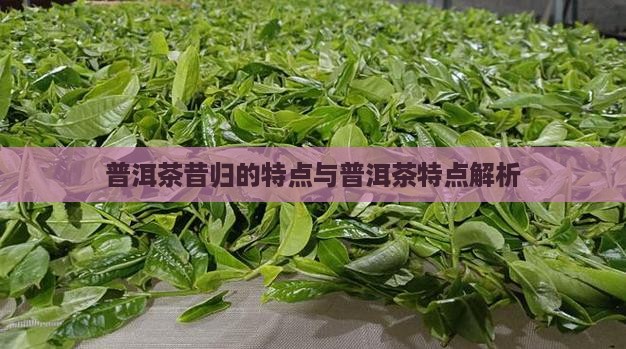 普洱赛昔归茶的特点
