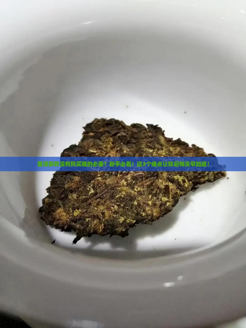普洱茶有没有购买藏的必要