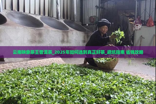 云南映象茶王普洱茶