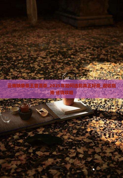 云南映象茶王普洱茶