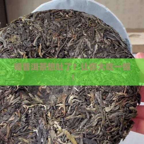 喝普洱茶想吐了