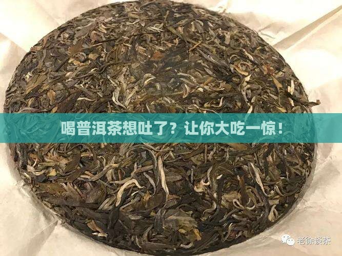 喝普洱茶想吐了