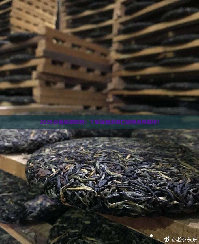 丁家寨普洱茶的口感特点