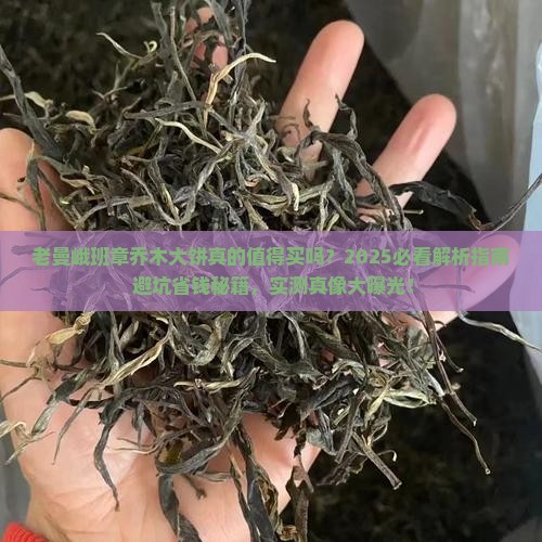 老曼峨班章乔木大饼