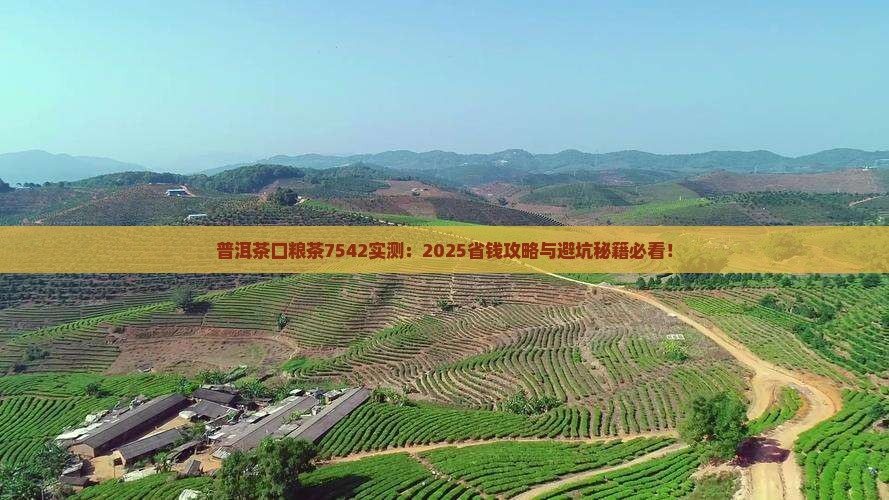 普洱茶口粮茶7542