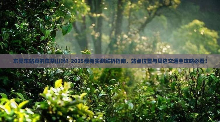 东莞东是不是在茶山