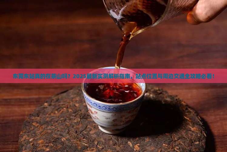 东莞东是不是在茶山