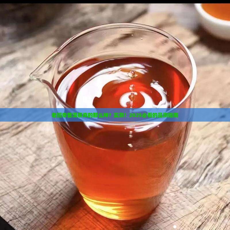品测老班章普洱茶
