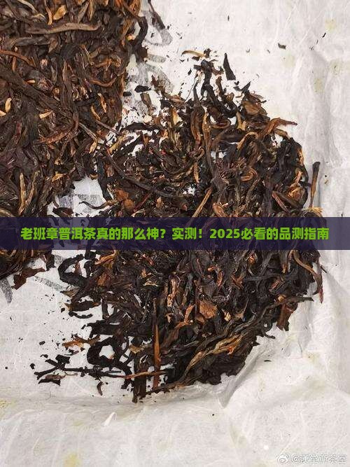 品测老班章普洱茶