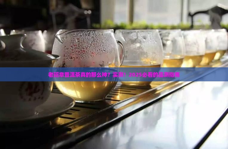 品测老班章普洱茶