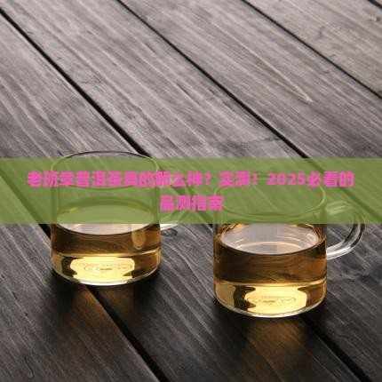品测老班章普洱茶