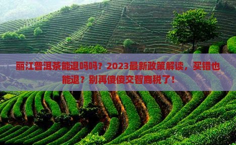 丽江普洱茶能退吗吗