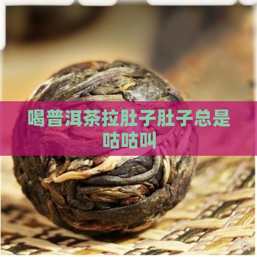喝普洱茶拉肚子肚子总是咕咕叫