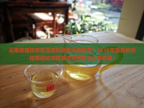 云南熊猫班章普洱茶