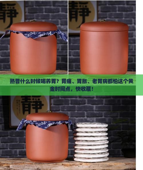 熟普什么时候喝养胃