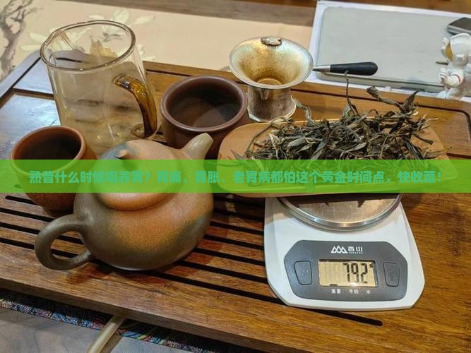 熟普什么时候喝养胃