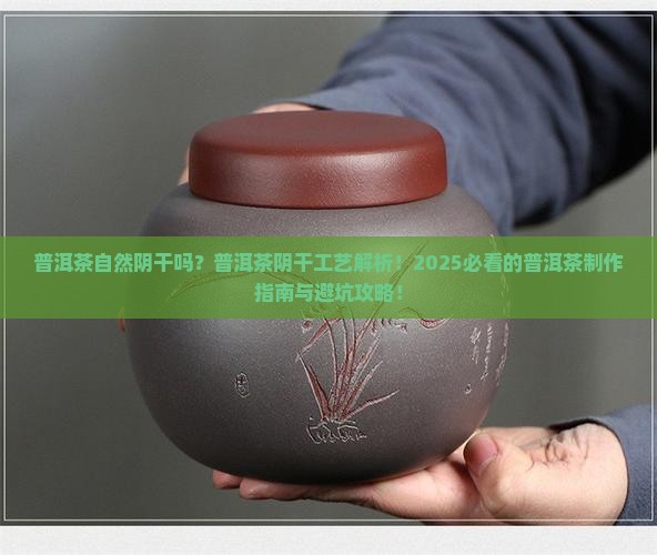 普洱茶自然阴干吗