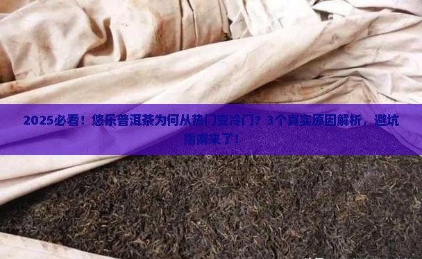 悠乐普洱茶为何不出名了