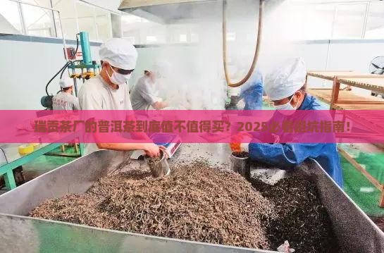 瑞贡茶厂的普洱茶怎么样