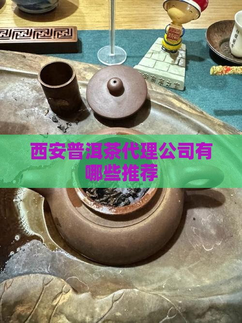 西安普洱茶代理公司有哪些