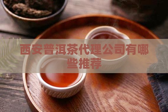西安普洱茶代理公司有哪些