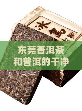 东莞普洱茶干净吗