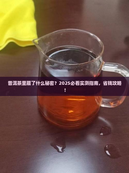 普洱茶里面适合放什么