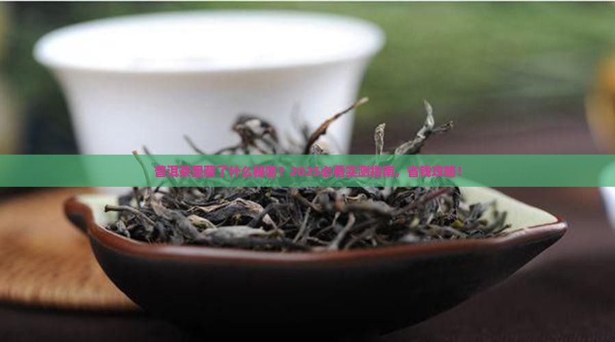 普洱茶里面适合放什么