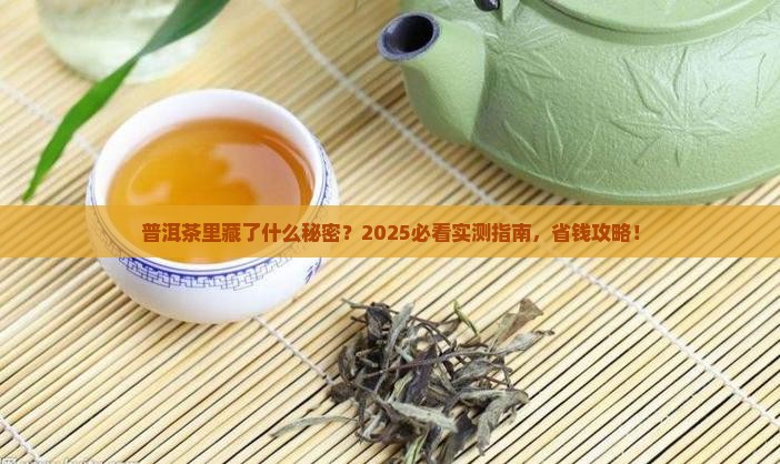 普洱茶里面适合放什么