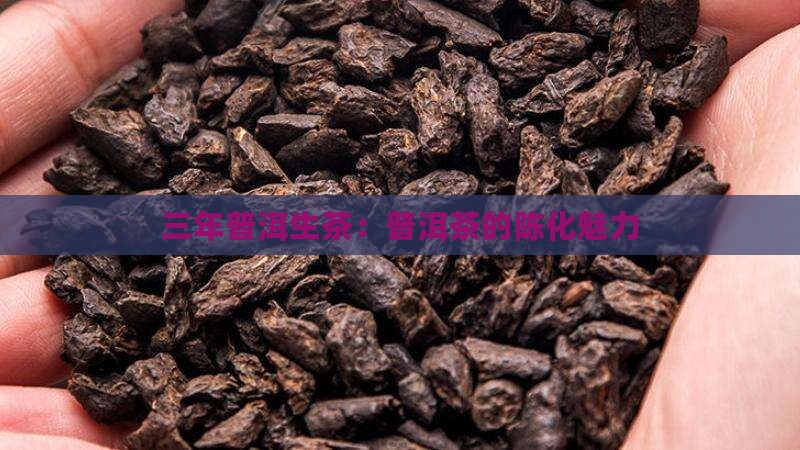 三年的普洱生茶怎么样