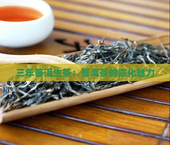 三年的普洱生茶怎么样