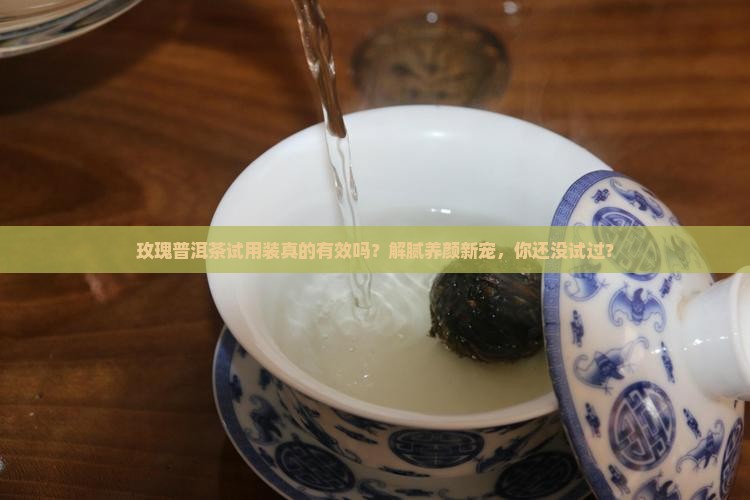 玫瑰普洱茶试用装