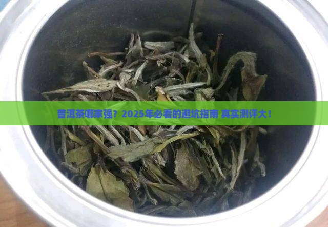 普洱茶都有什么品牌好