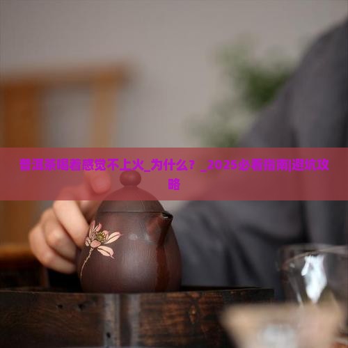 普洱茶喝着感觉不上火