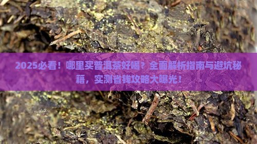 哪里买普洱茶好喝
