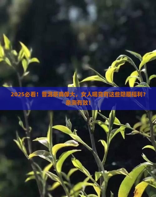 普洱茶对女人有什么好处
