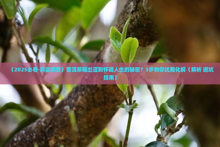 普洱茶中的涩味
