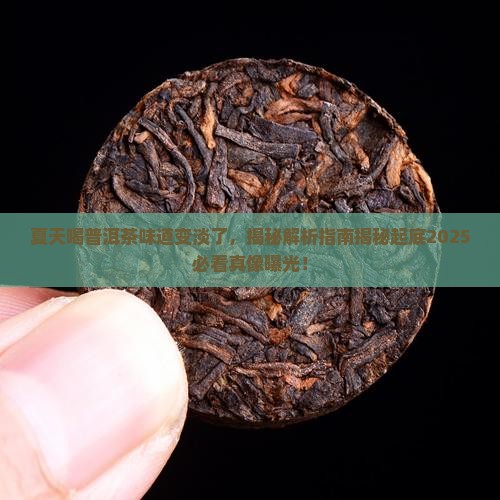 夏天喝普洱茶味道变淡了
