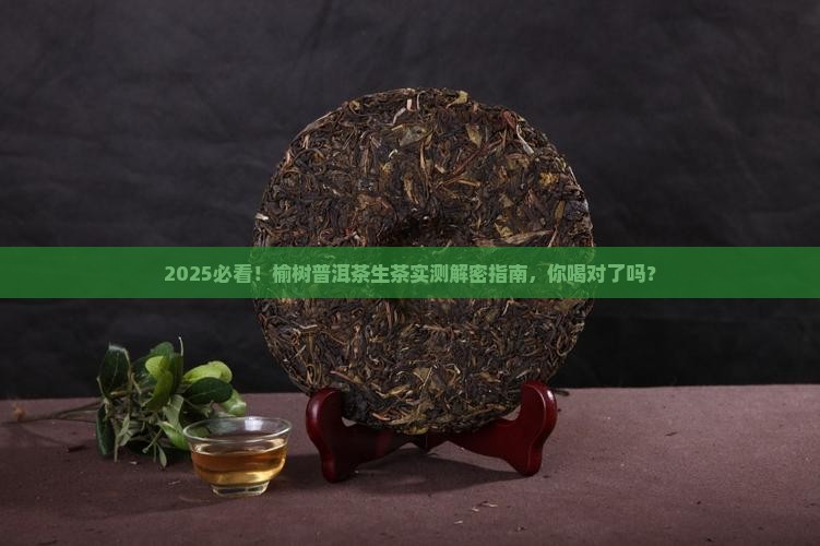 榆树普洱茶生茶