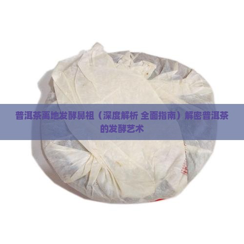 普洱茶离地发酵鼻祖