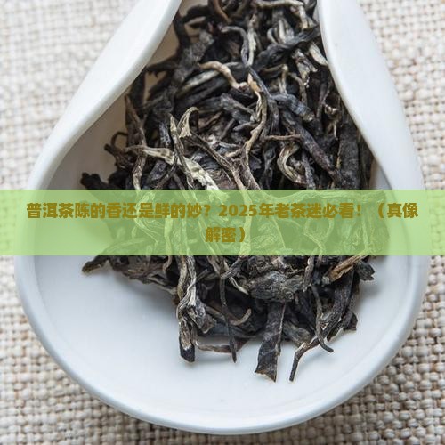 普洱茶新的好还是旧的好