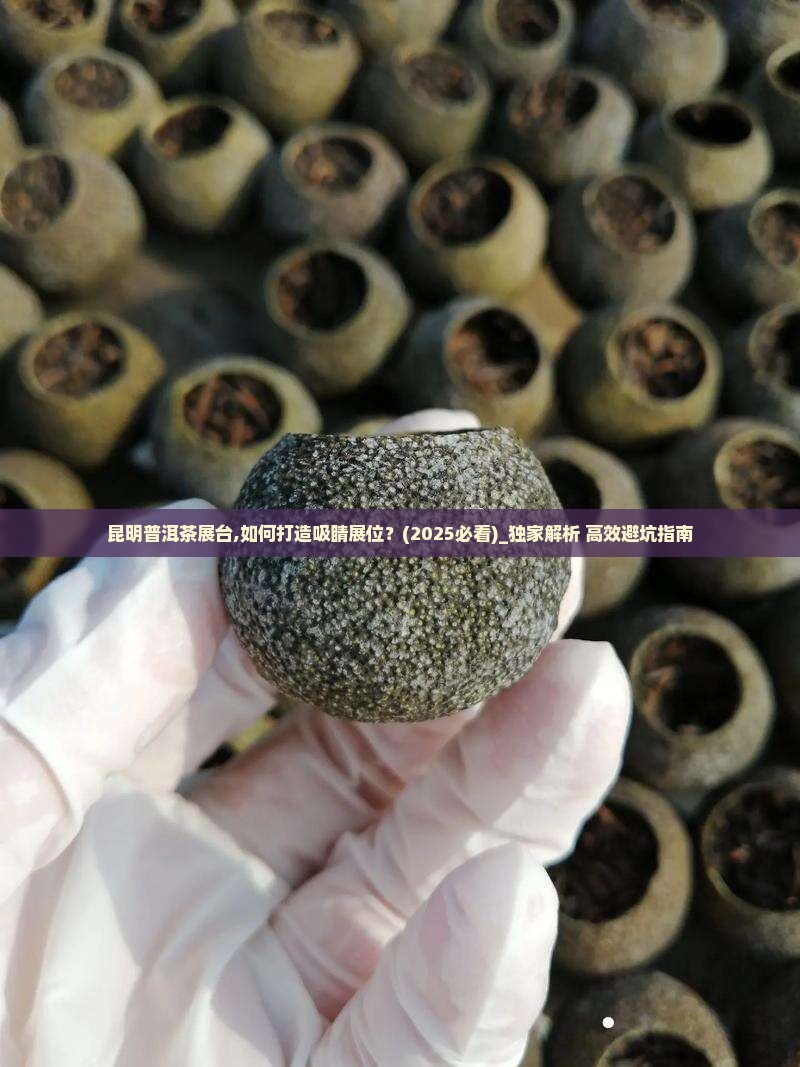 昆明普洱茶展台
