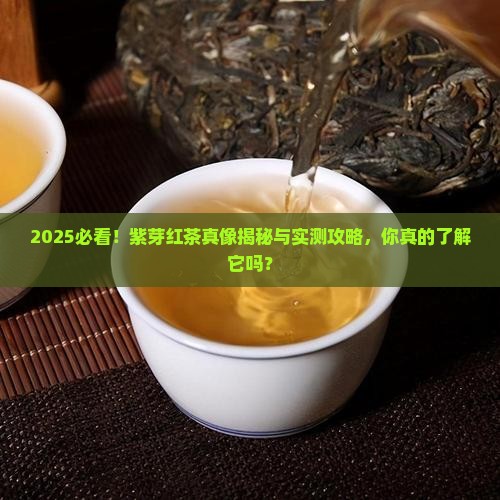 紫芽红茶是什么茶